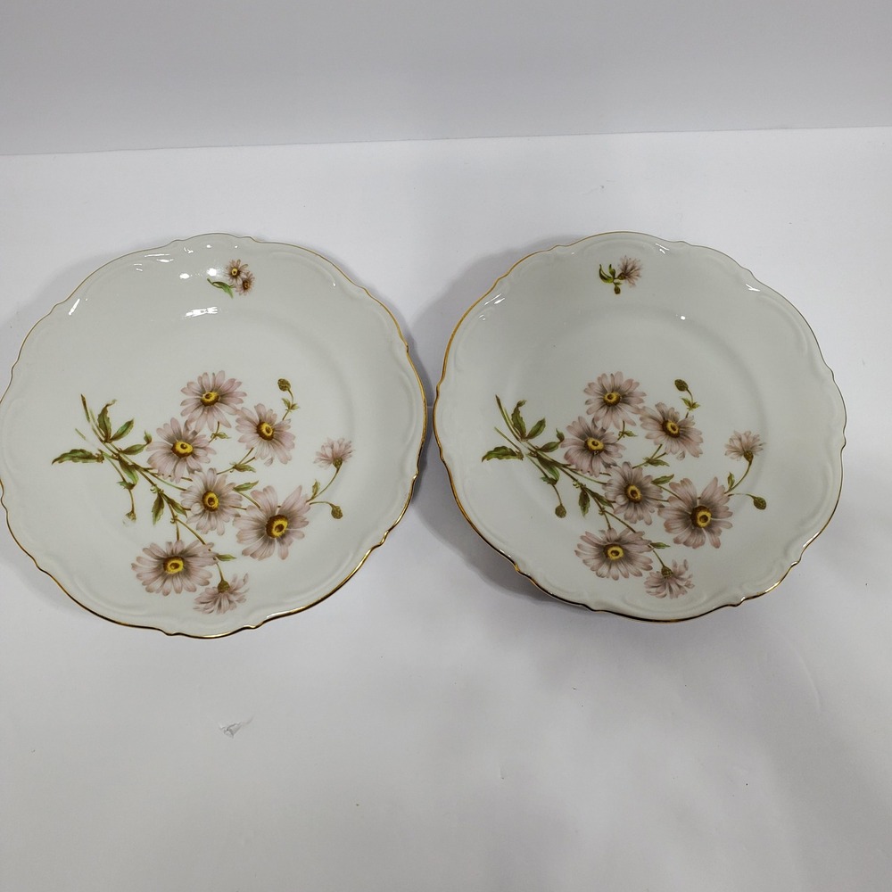 Mitterteich Bavaria Daisy Bell Salad Plate White Gold Trim Scalloped Edge‎ Set 2